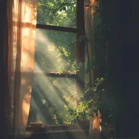 ادمین روبیکا وایتا