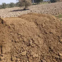 سلام|خدمات باغبانی و درختکاری|رودان, |دیوار