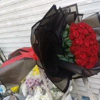 گل رز هلندی  باکس گل  سبد گل دسته گل|گل و گیاه طبیعی|تهران, والفجر (افسریه)|دیوار