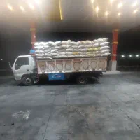 کاه گندم دیم و کاه نخود دیم|لوازم جانبی حیوانات|کاشان, میدان میوه تره بار|دیوار