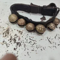 زنگوله