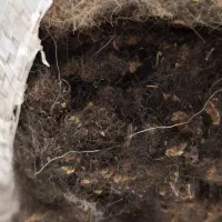 پشم ...بهتراز الیاف مصنوعی