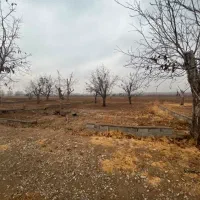 زمین-باغی-در-ینگه-امام