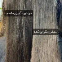 ایتفاده از بهترین مواد برای سلامت موی شما|خدمات آرایشگری و زیبایی|مشهد, منزل آباد|دیوار