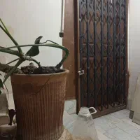 رهن-کامل