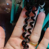 زیبایی|خدمات آرایشگری و زیبایی|نیشابور, فردوس شمالی|دیوار