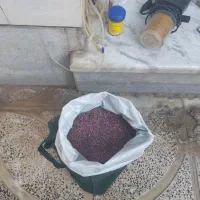 آکواریوم و پمپ، بخاری