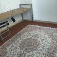 خوابگاه دخترانه تازه تاسیس .با ۸ خواب  در بعثت ۱۴|اجارهٔ خانه و ویلا|شیراز, بعثت|دیوار