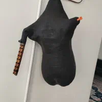 عکس اول نمایش هست معاوضه با پرنده|پرنده|زرقان, |دیوار