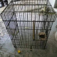 قفس پرنده بزرگ