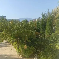 فروش-ویژه-باغ-مرکبات-1500متری