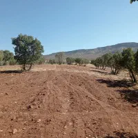 فروش فوری ۳/نیم هکتارزمین بهرجاده خرم آباد کوهدشت|فروش زمین و ملک کلنگی|کوهدشت, |دیوار