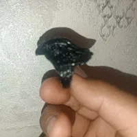 انگشتر طرح شاهین