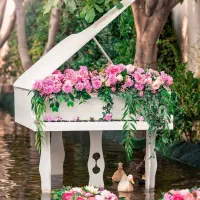 عکاسی با ورودی رایگان