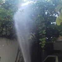 خدمات باغبانی سم پاشی هرس کاشت چمن وبرش درخت تیلر|خدمات باغبانی و درختکاری|شیراز, دشت چنار|دیوار