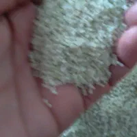 بزنج نیم دانه صدر هاشمی|عمدهفروشی|بروجرد, |دیوار