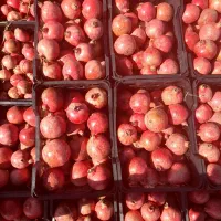 فروش انار ارسنجان|خوردنی و آشامیدنی|ارسنجان, |دیوار