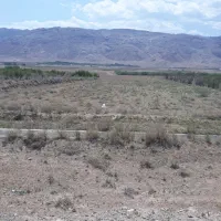 فروش ۱ هکتار و ۳۰۰۰ متر زمین ،سد ساوه .اقساط|فروش دفتر صنعتی، کشاورزی، تجاری|تهران, فرودگاه مهرآباد|دیوار