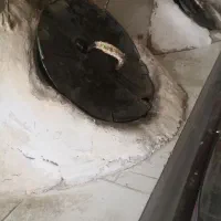 خمیرچونه گیر تنوری