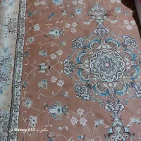 فرش ۶متری|فرش|رشت, پیرکلاچای|دیوار