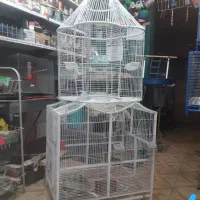 قفس سازی امید|لوازم جانبی حیوانات|خمینیشهر, |دیوار