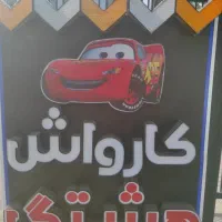 نیروی کار در کارواش