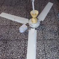 پنکه سقفی