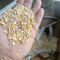 خوراک دام و دان طیور|لوازم جانبی حیوانات|تالش, جوکندان|دیوار