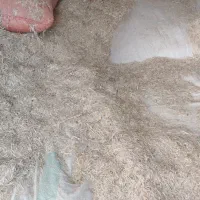 کاه گندم|حیوانات مزرعه|چگنی, |دیوار