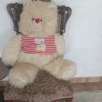 خرس بزرگ سالم