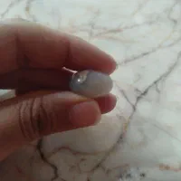سنگ شجره