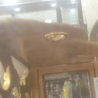 بوفه