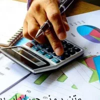 نیروی حسابدار