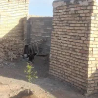 باغ هزار متری