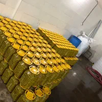 فروش عمده زیتون سوپر صادراتی