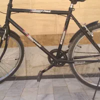 گمنشده فروسی