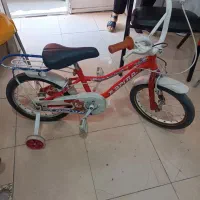 دوچرخه|دوچرخه، اسکیت، اسکوتر|تربت‌حیدریه, بی بی حسنیه|دیوار