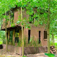 کلبه-ای-از-جنس-چوب-و-سکوت-در-طبیعت