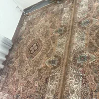 قالی گردویی 6 متری