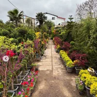 گلکاری باغچه کاری کودهی هرسکاری درخت خدمات باغبانی