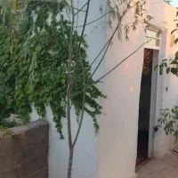 فروش-باغ-500متری-درمجتمع