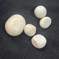 تعدادی سنگ آسیاب