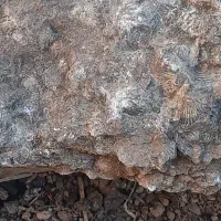 همه|کلکسیون و سرگرمی|جلفا, |دیوار