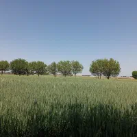 زمین کشاورزی مناسب باغ و گلخانه و کشاورژی