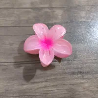 کلیپس مو|زیورآلات و اکسسوری|شیراز, طلاب|دیوار