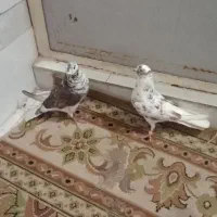 یه جفت حراج