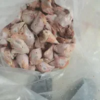 غذای حیوان،اسکلت مرغ،پا،دل،مرغ ضایعات|لوازم جانبی حیوانات|شیراز, مسلم|دیوار