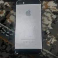 فاویو اس ایکلود