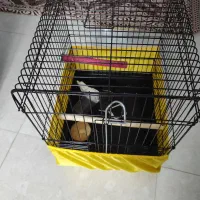 قفس سایز ۱۰۳۲