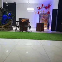 به مدت ۱۵ روز هزینه ورودی رایگان|خدمات پذیرایی، مراسم|تایباد, |دیوار